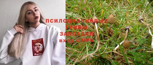 круглые Белокуриха
